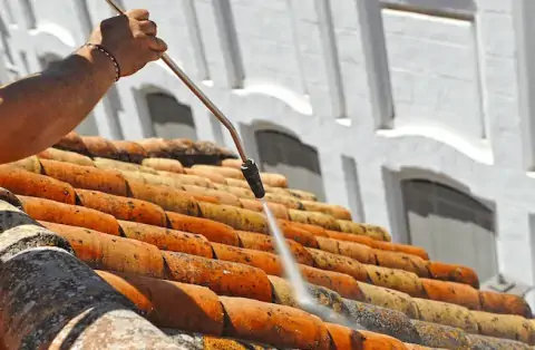 Nettoyage de toitures - La Tour